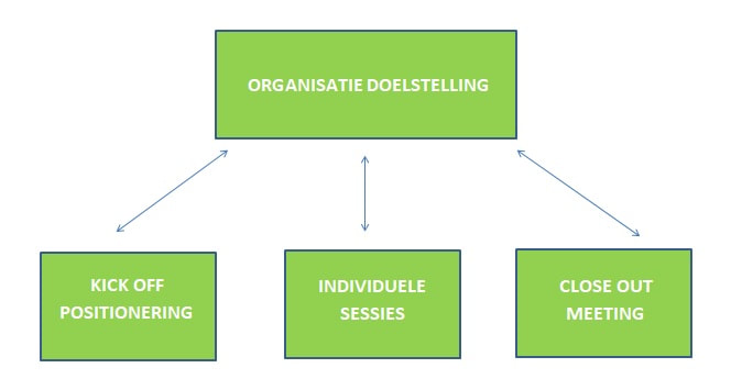 Schema organisatieopstelling